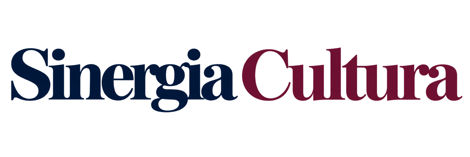 Sinergia Cultura